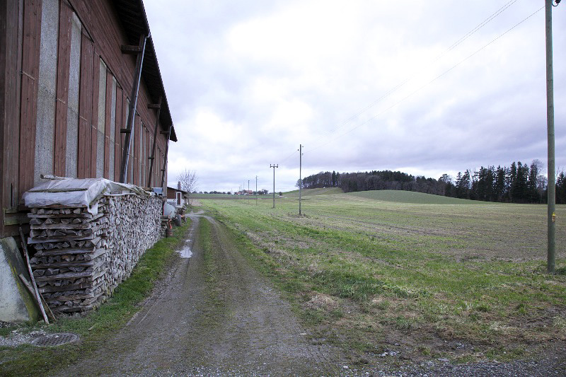 Feldaufweg im Thurgau, 26.12.2012