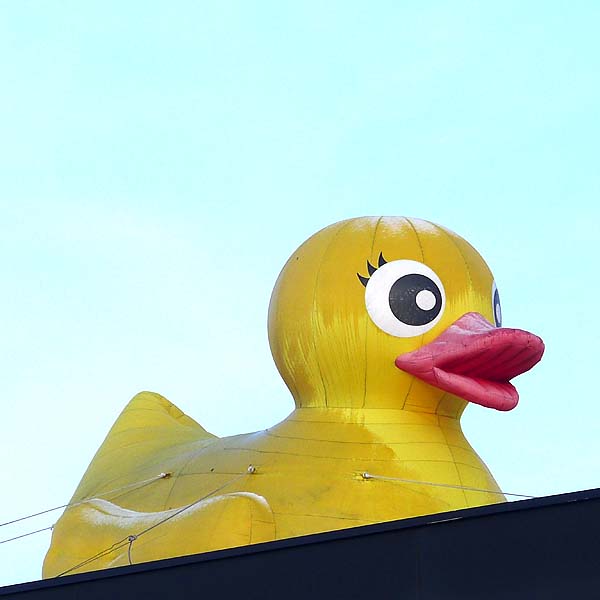 air-duck, angefrostet 03.02.2015